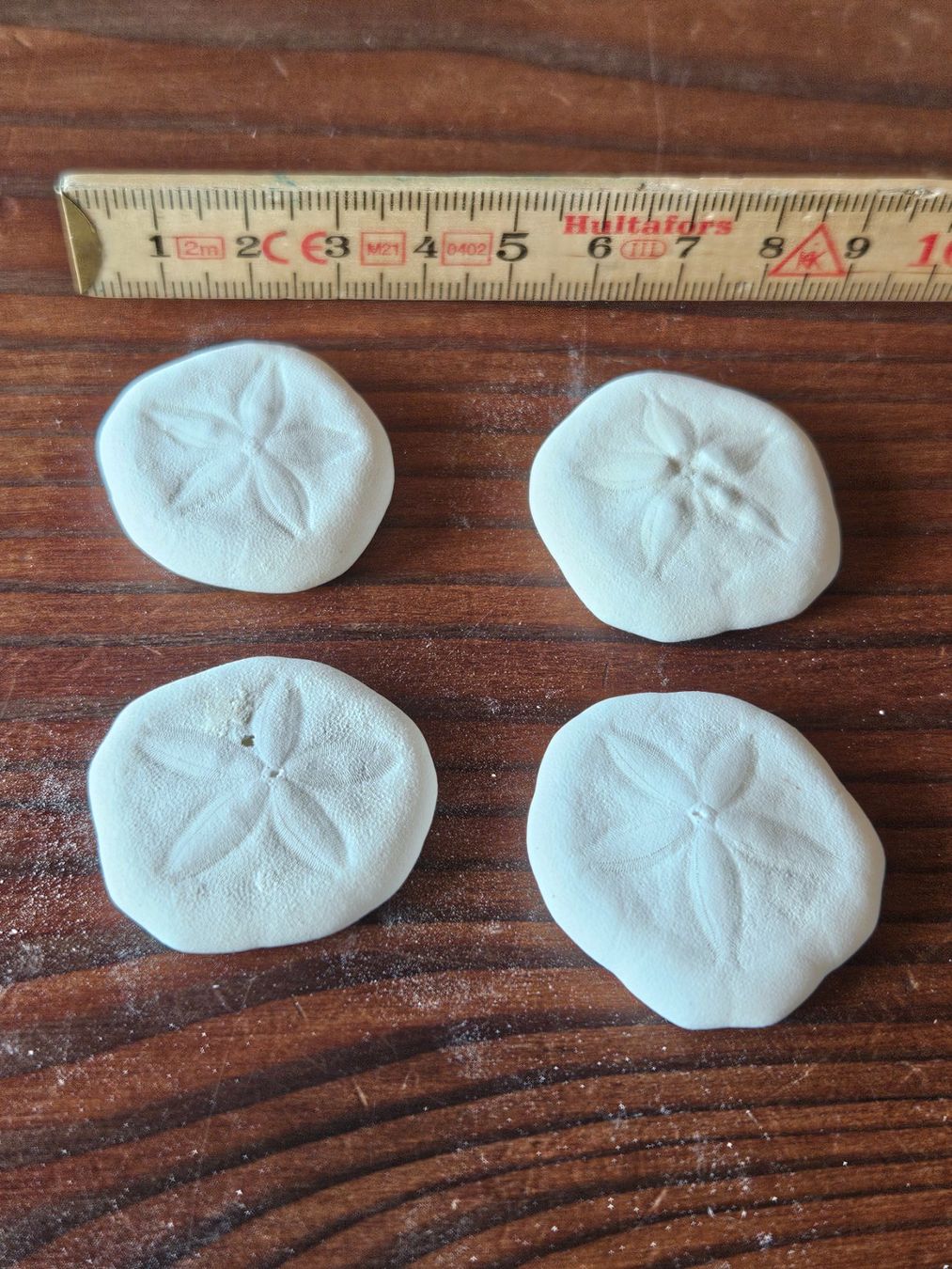 Fossili: Seeigel Sand Dollars – Nuovo (secondo la descrizione) da Maseltrangen venduto da Chrusli7