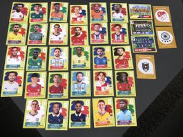 Panini Sticker 