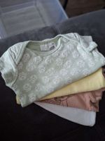4x Baby Bodys Grösse 74