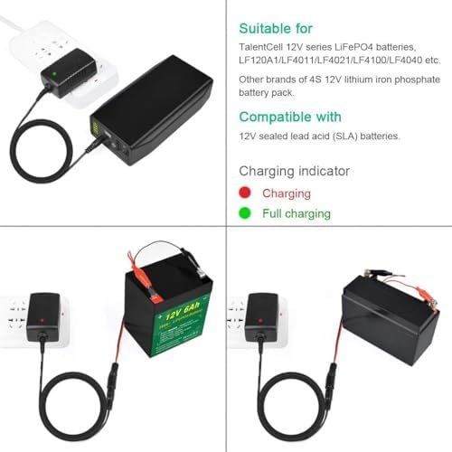 Ladegeräte: 14.6V/1.5A Smart Charger, AC DC Power Adapter – Neu und originalverpackt aus Hundwil von Mr.Wong 6