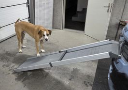 Teleskop-Hunderampe - Auto-Einstiegshilfe für Hunde, Alu