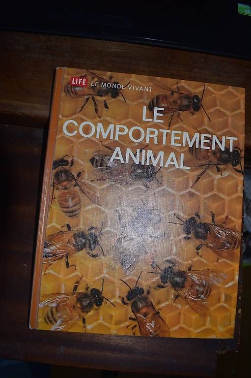 Bücher: Les Animaux – Gebraucht aus Brügg BE von Aristotolius