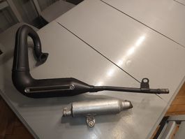 Suzuki ts 125 auspuff original 