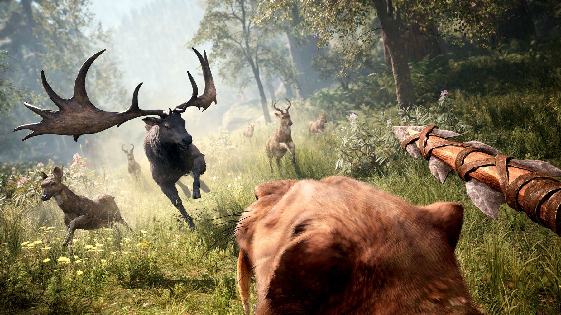 Sony Spiele: FarCry Primal 100% UNCUT in der Steinzeit – Gebraucht aus Schüpfheim von Games_Spielkonsolen 5