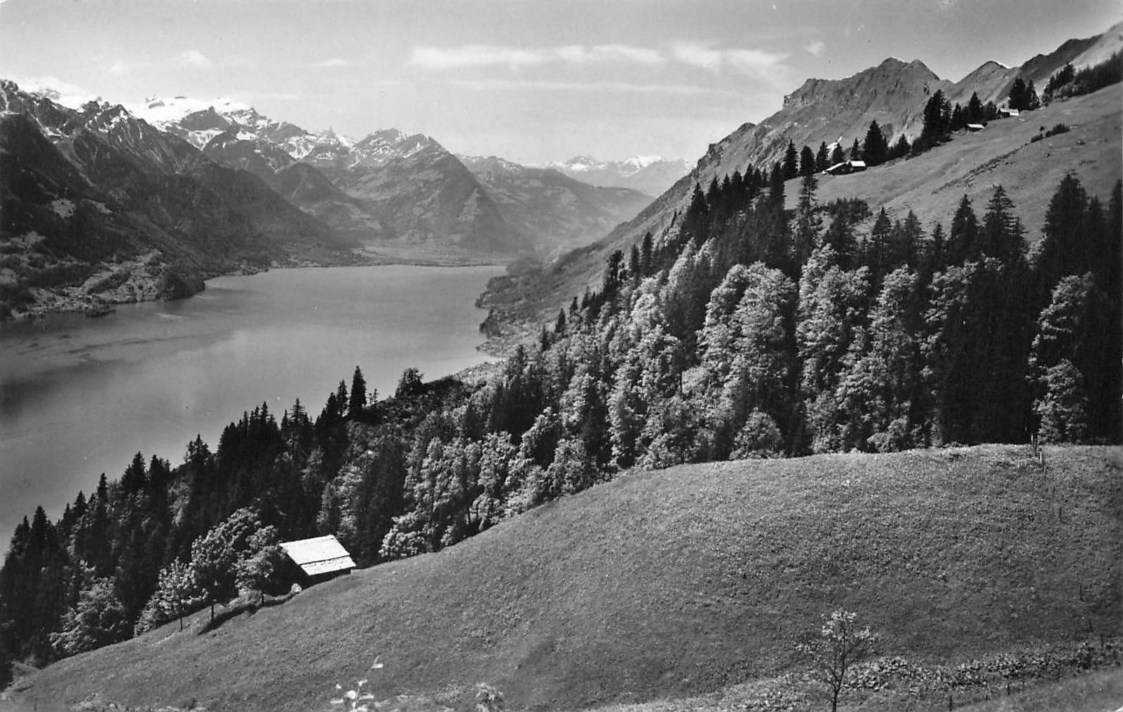 Cartoline postali: Brienz BE Planalp Aussicht Brienzersee – Usato da Biasca venduto da Blenio71