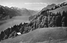 Brienz BE Planalp Aussicht Brienzersee