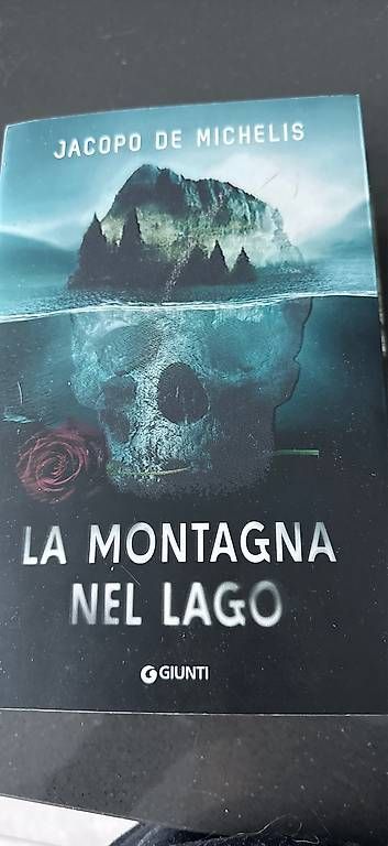 Bücher: Libri vari  – Gebraucht aus Sementina von mon_s8tz 2