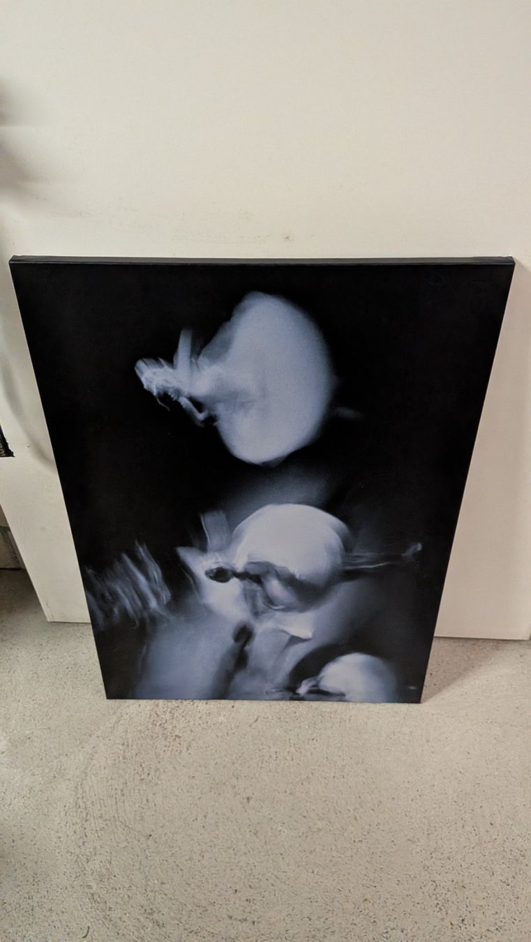 Foto & Immagini: Ikea painting - Pjätteryd – Usato da Bonstetten venduto da Johanne_Lamalle