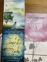 3 Bücher von Pascal Voggenhuber gebrauchter Zustand