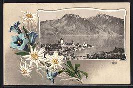 Passepartout-AK Spiez, Gesamtansicht, Ed