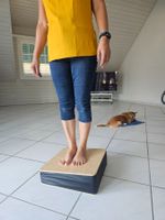 Tuning Board für Trauma Therapie