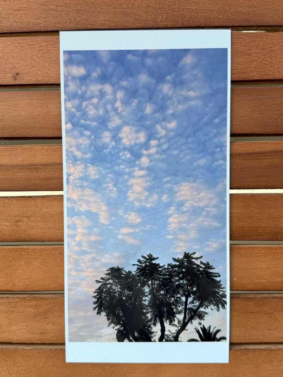 Cartoline: Fotokarten – Nuovo e nell'imballaggio originale da Riehen venduto da Claudia024