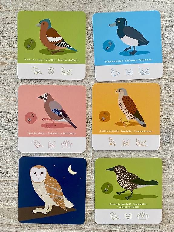 Giochi: Jeu de société Fly Home – Nuovo (secondo la descrizione) da Neuchâtel venduto da duprazs 1