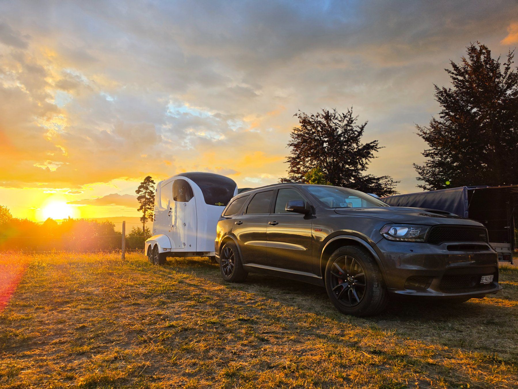 Dodge Automobili: DODGE DURANGO 6.4 SRT 2018, 3.5To. AHK – Usato da Seewil venduto da F.Roth83