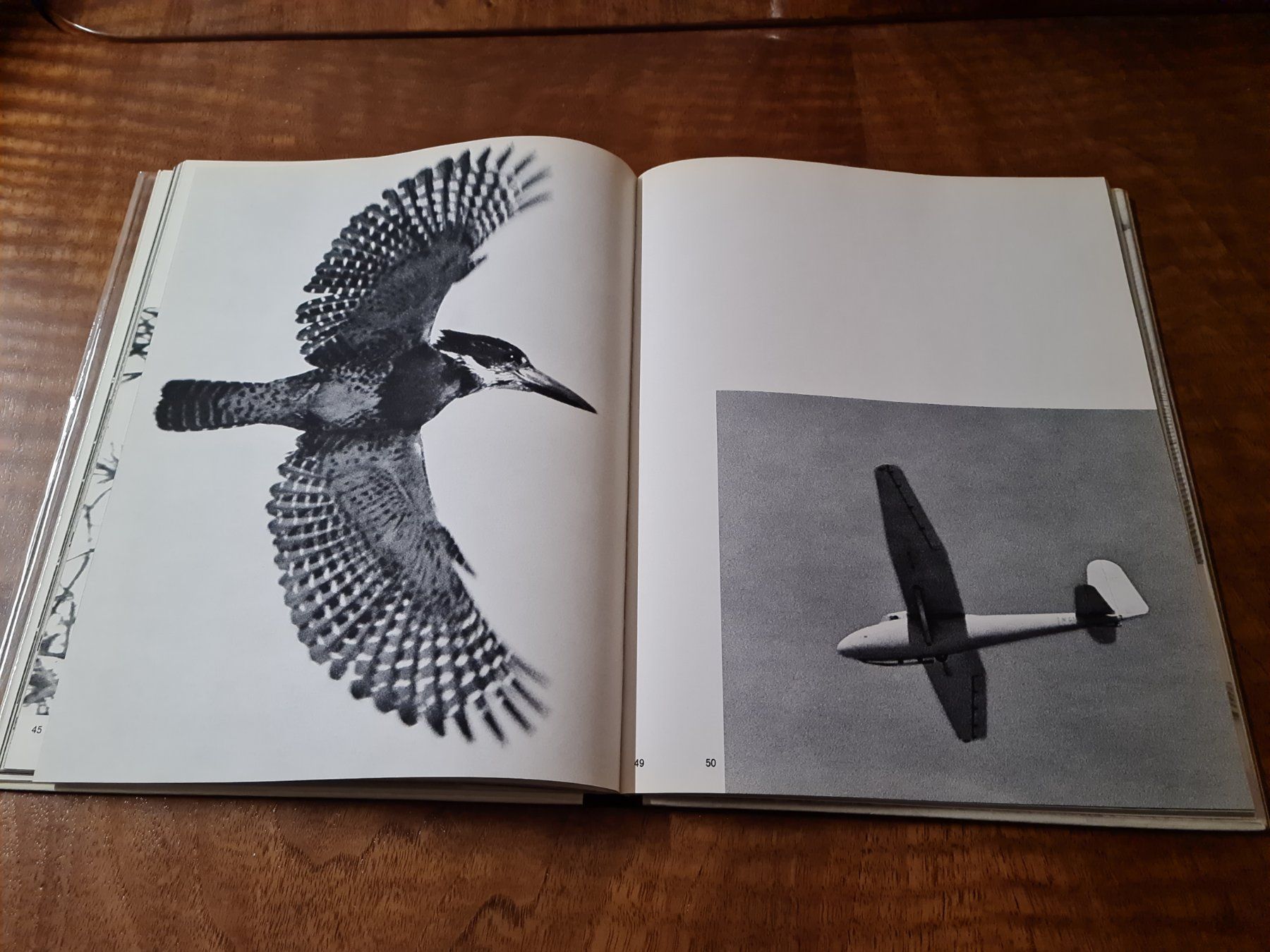 Libri: SCHWINGEN – Usato da Erstfeld venduto da Uhu1980 2
