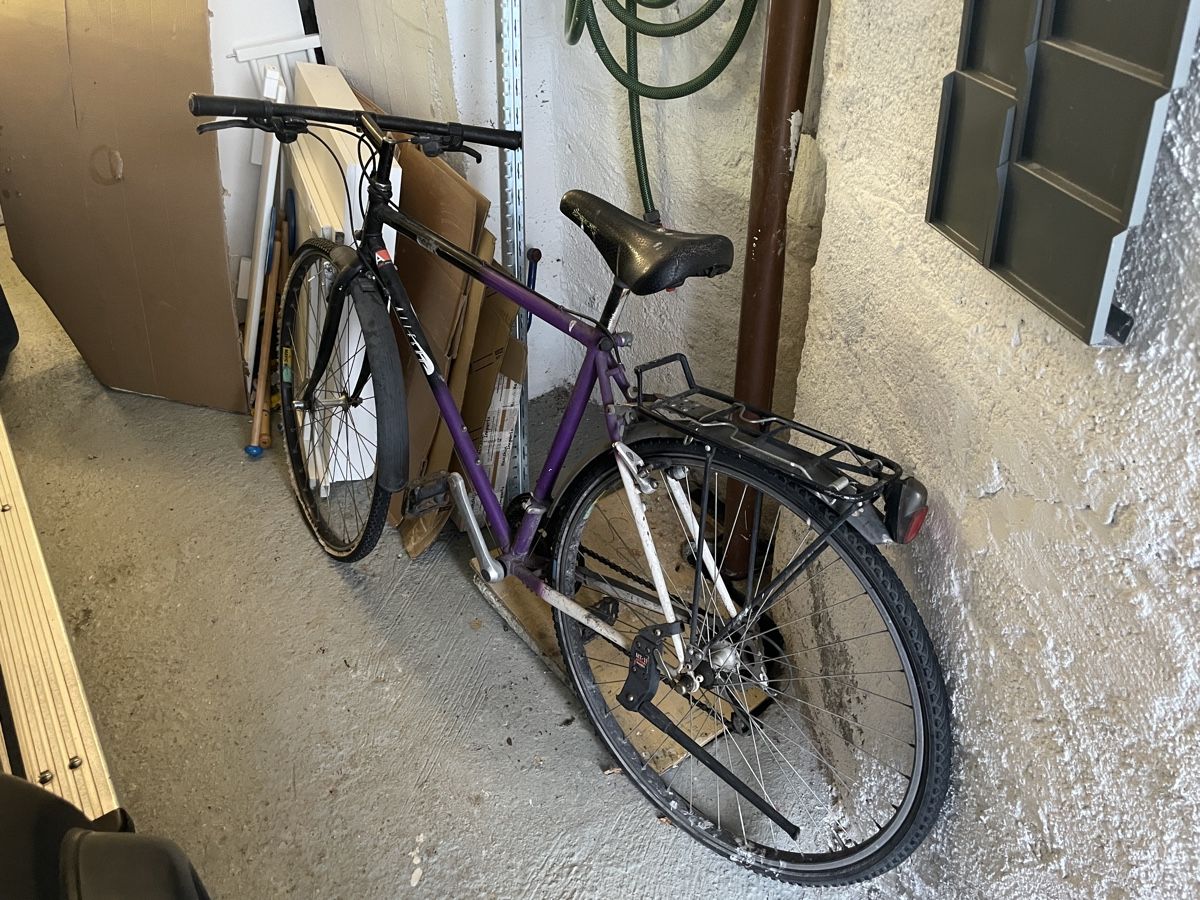 Velos: Bahnhofsvelo – Defekt aus Wollerau von Decryphe