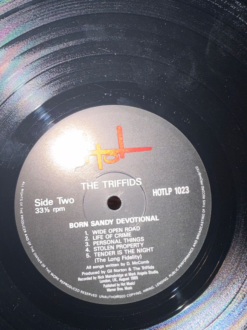 Vinyles: The Triffids LP – D'occasion à Gutenswil par Hamzian 2
