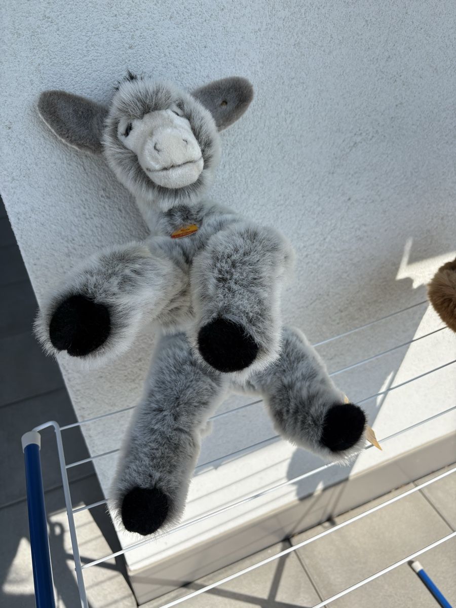 Steiff Spielzeuge: STEIFF Esel Molly NEU – Neu (gemäss Beschreibung) aus Egg b. Zürich von eve_h8pg 8
