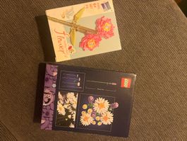 LEGO Blumen Set: Gänseblümchen & Libelle, neu, OVP