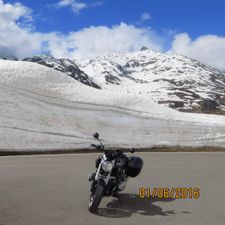 Profile image of boxer1200