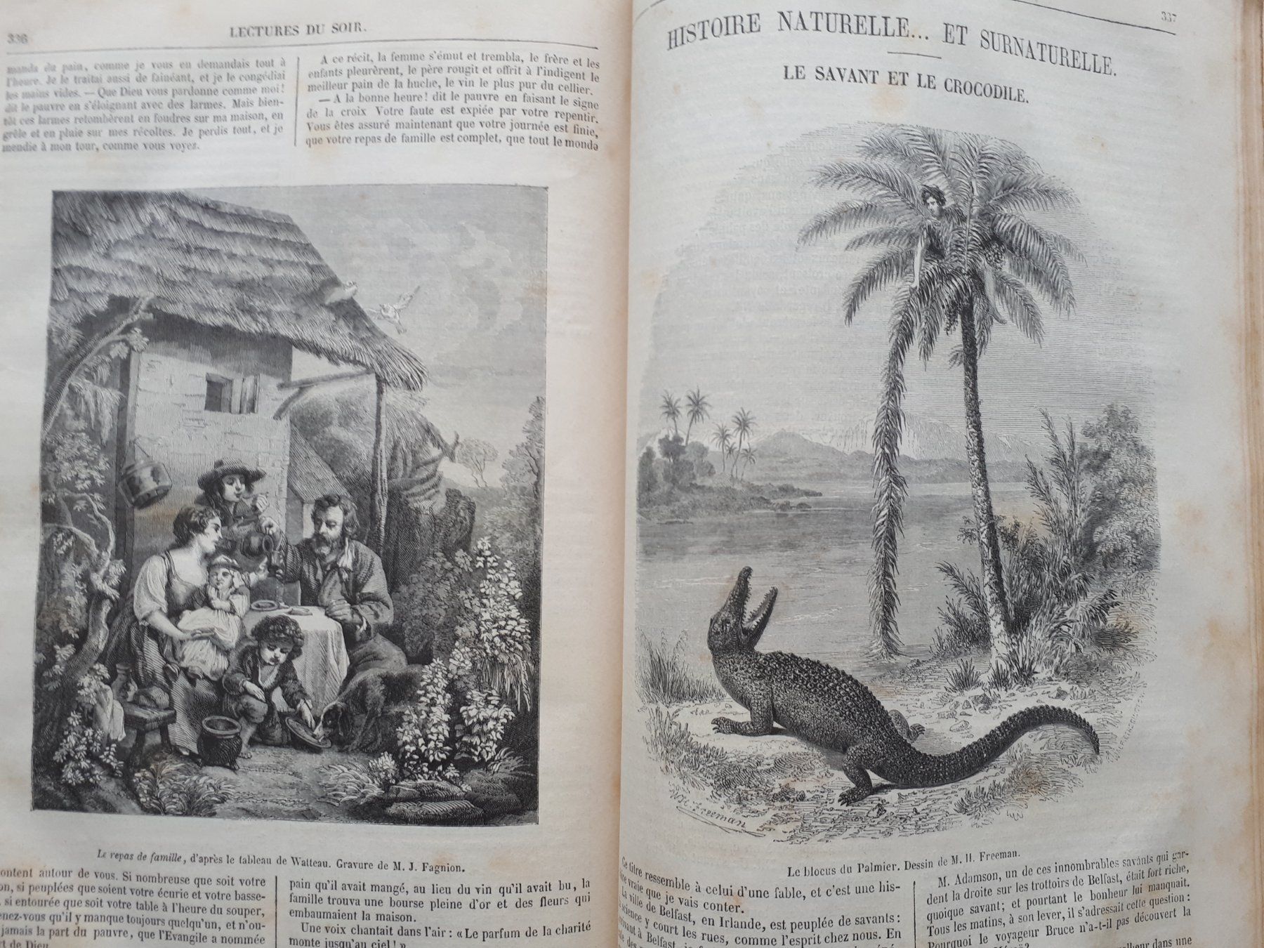 Libri: Musée des Familles – Lectures du Soir – Usato da Lausanne venduto da LasloH 3