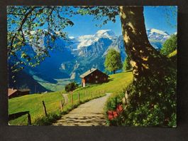 Braunwald/Der Sommerbalkon des Glarnerlandes/Blick auf Tödi
