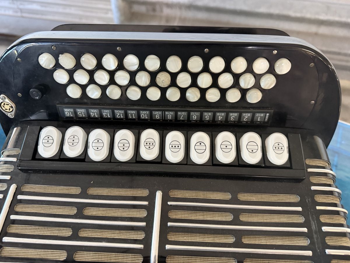 Hohner Strumenti musicali: Hohner morino Club – Usato da Muhen venduto da MiGeiss64 3