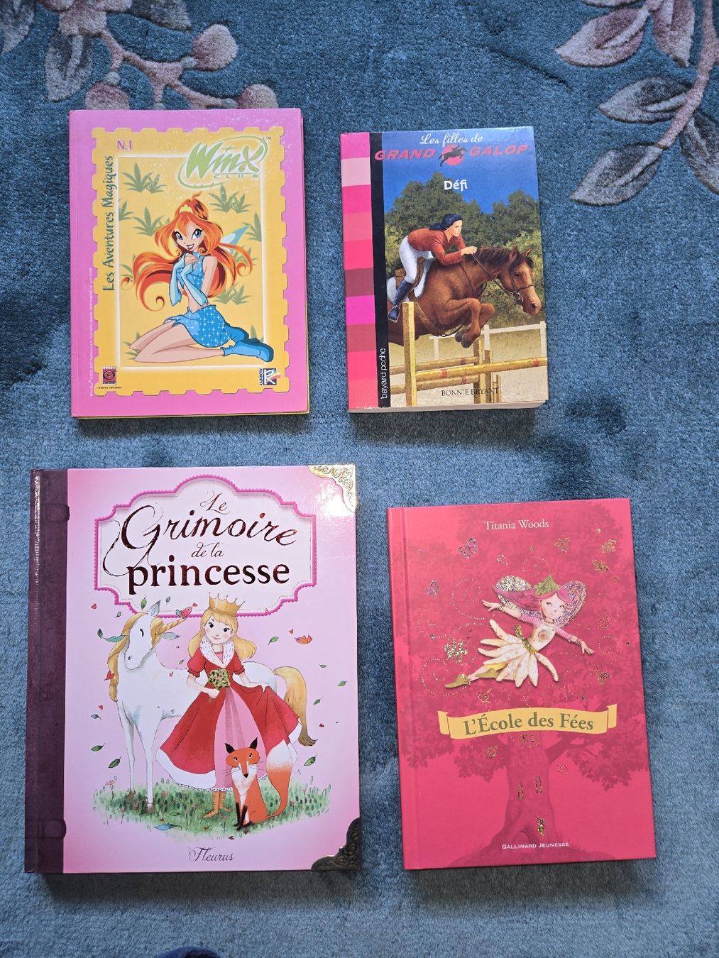Libri: lot de 4 livres pour filles – Usato da Sion venduto da Oonathoo