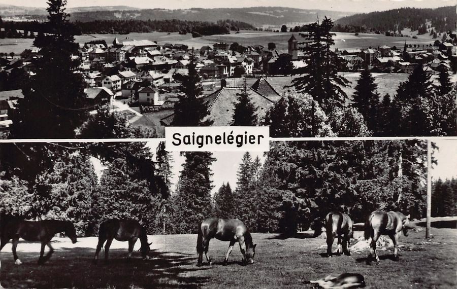 Cartoline postali: Saignelégier, circulée 1960 – Usato da Frauenfeld venduto da POML