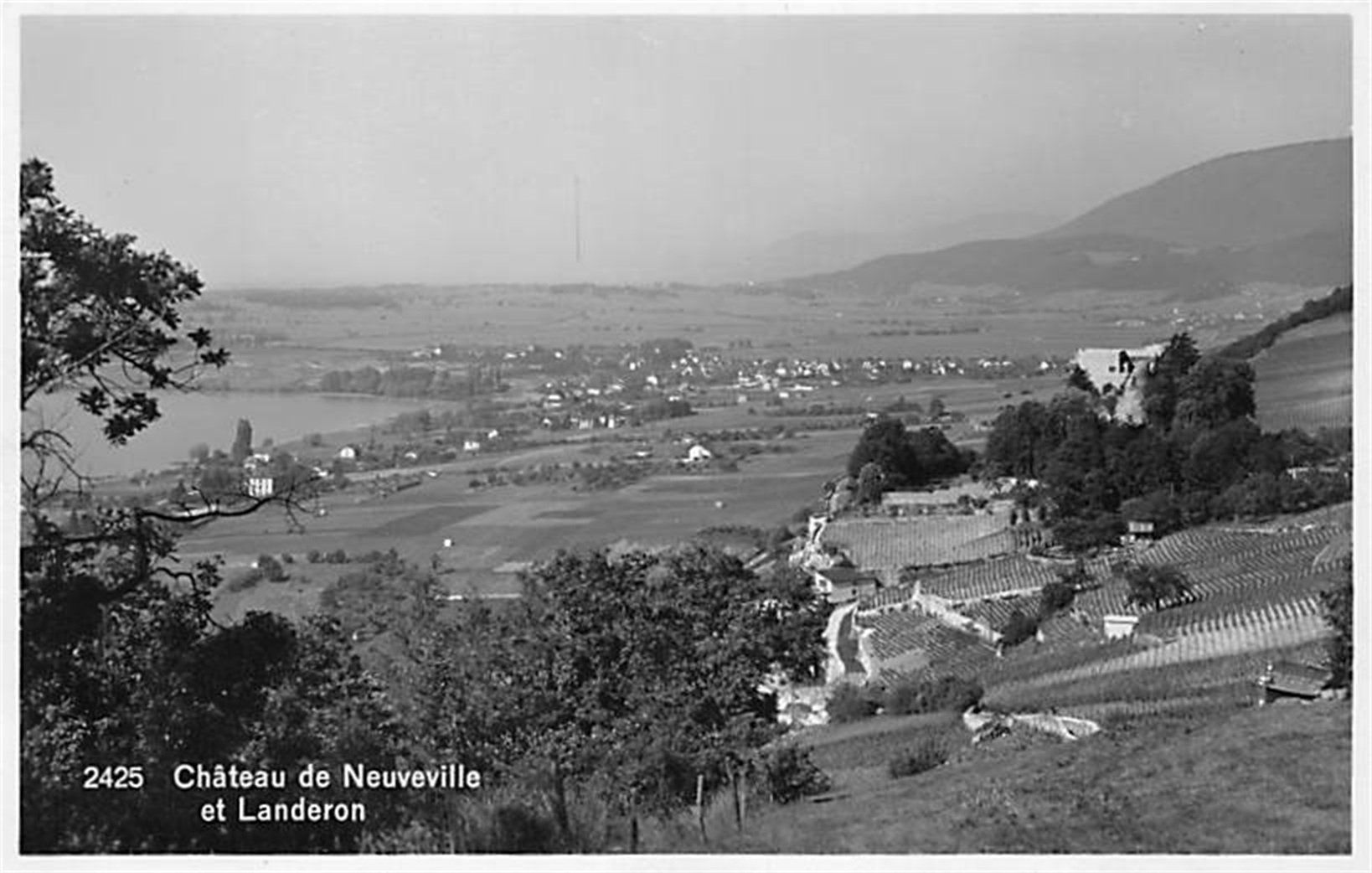 Ansichtskarten: La Neuveville, Chateau – Gebraucht aus Ottikon b.Kemptth. von Neptun1974
