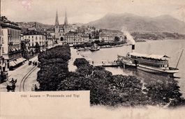 Dampfer vor Luzern ungelaufen