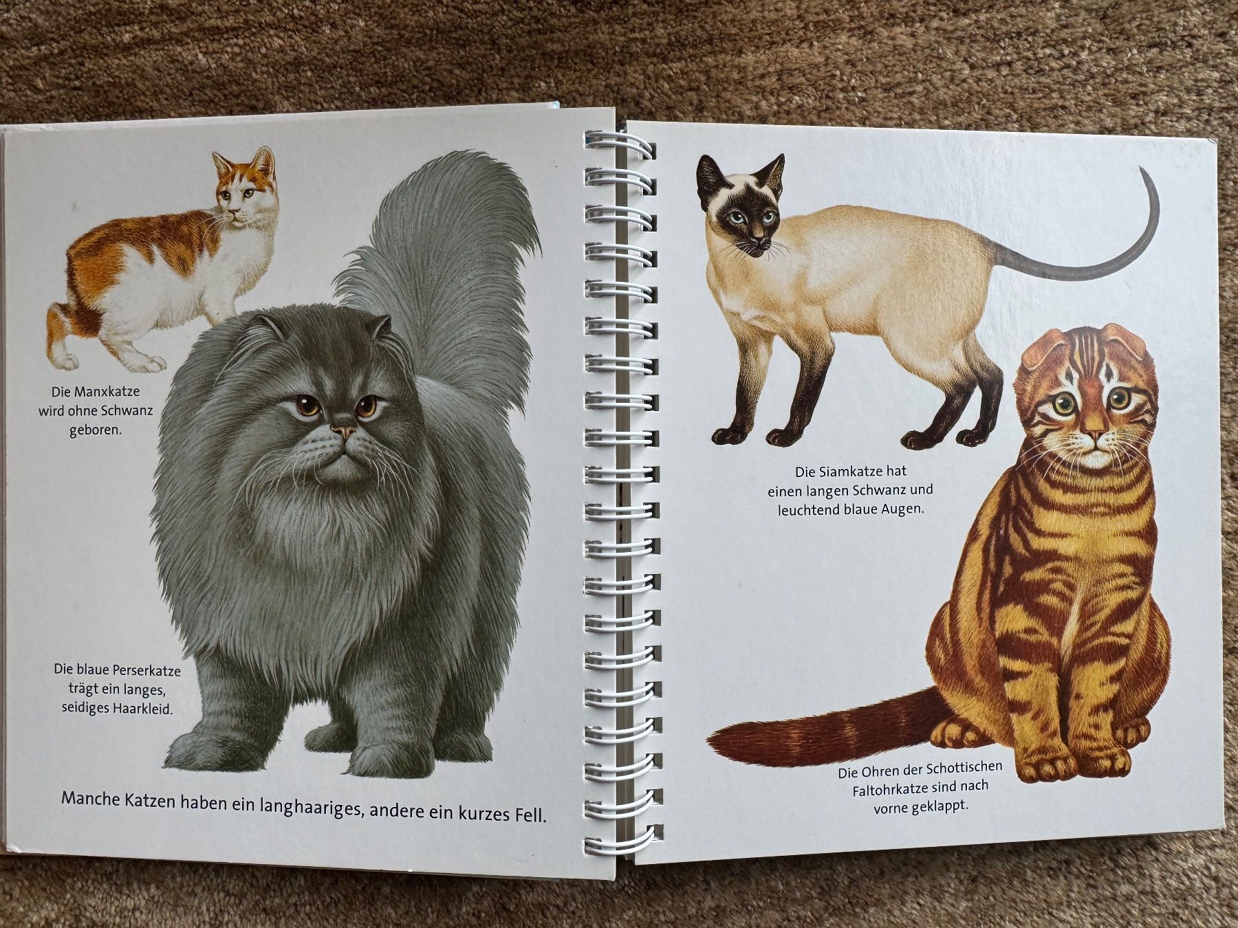 Libri: Meyers - Die Katze – Usato da Aarau venduto da Kilauea 3