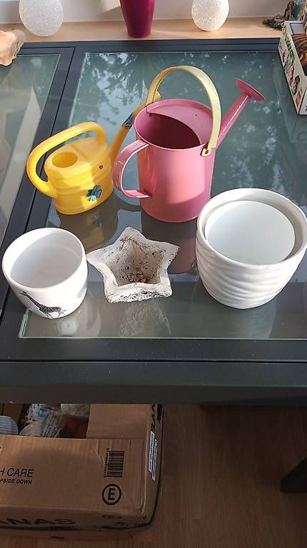 Vasi & Recipienti: Vasen, Töpfe, Spritzkannen – Usato da Zollikofen venduto da Diananna 3