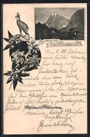 Vorläufer-AK Grindelwald, 1894, Gebirgs