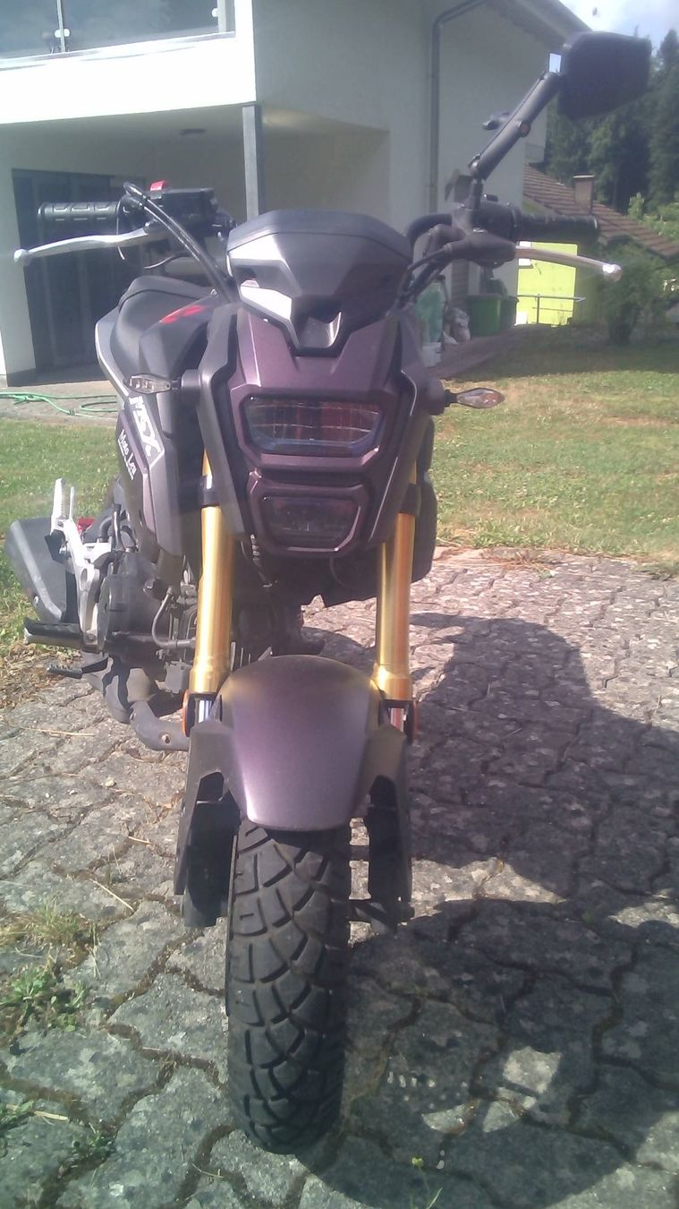 Honda Route: Honda msx – D'occasion à Vordemwald par piu_558c 2