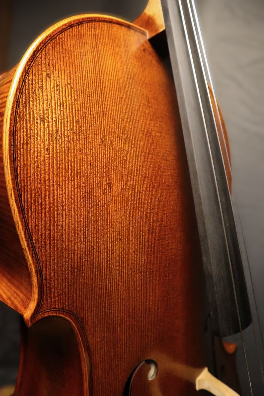 Strumenti musicali: Lothar Semmlinger 135A Cello 4/4 inkl. Koffer & Ständer – Nuovo (secondo la descrizione) da Gossau ZH venduto da GimK_4er 2