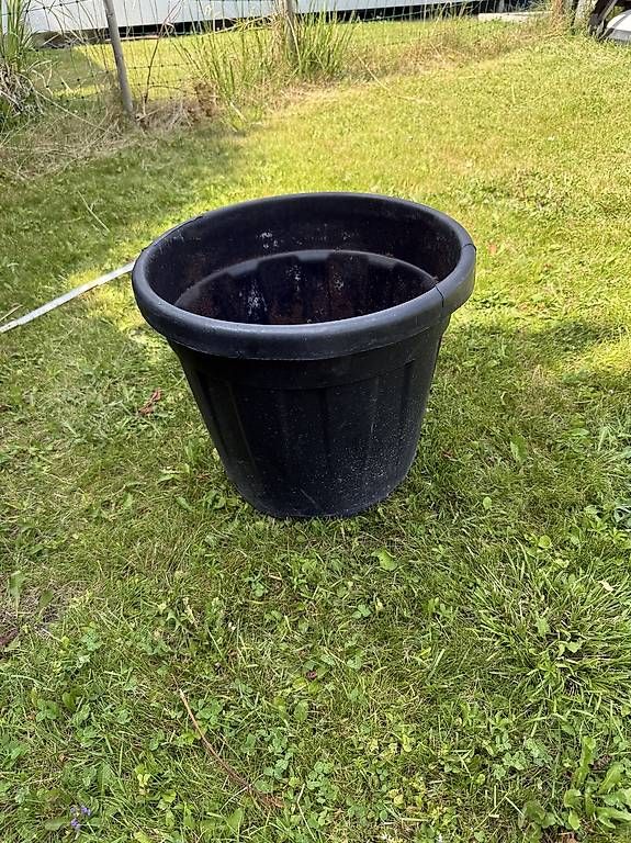 Pots de fleurs: Pflanzkübel – D'occasion à Landquart par vision22850 1