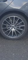 felgen amg