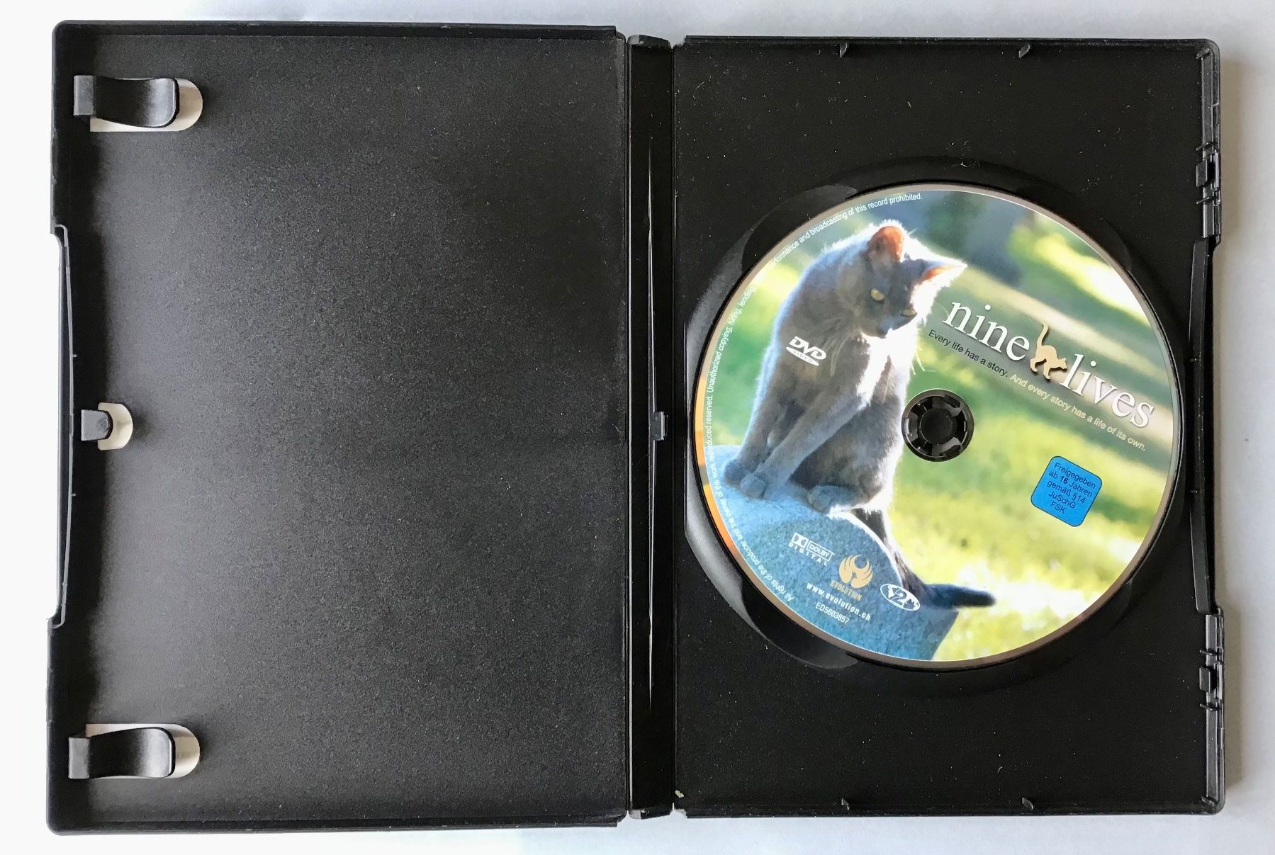 Tutti i DVDs: DVD: nine lives – Usato da Bubendorf venduto da Alpenheidi 2