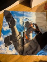 Attack on Titan Kopf Kissen Bezug, neuwertig, Mikasa