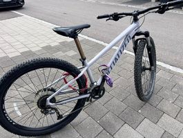 Specialized Rockhopper