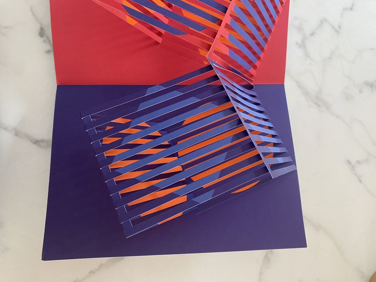 Libri: Pop op buch vasarely – Nuovo (secondo la descrizione) da burgdorf venduto da kaethiduebi 2