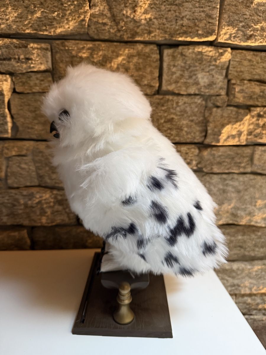 Statuette: Harry Potter Hedwig Eule interaktiv gebrauchter Zustand – Usato da Brunnen venduto da Nessi... 3