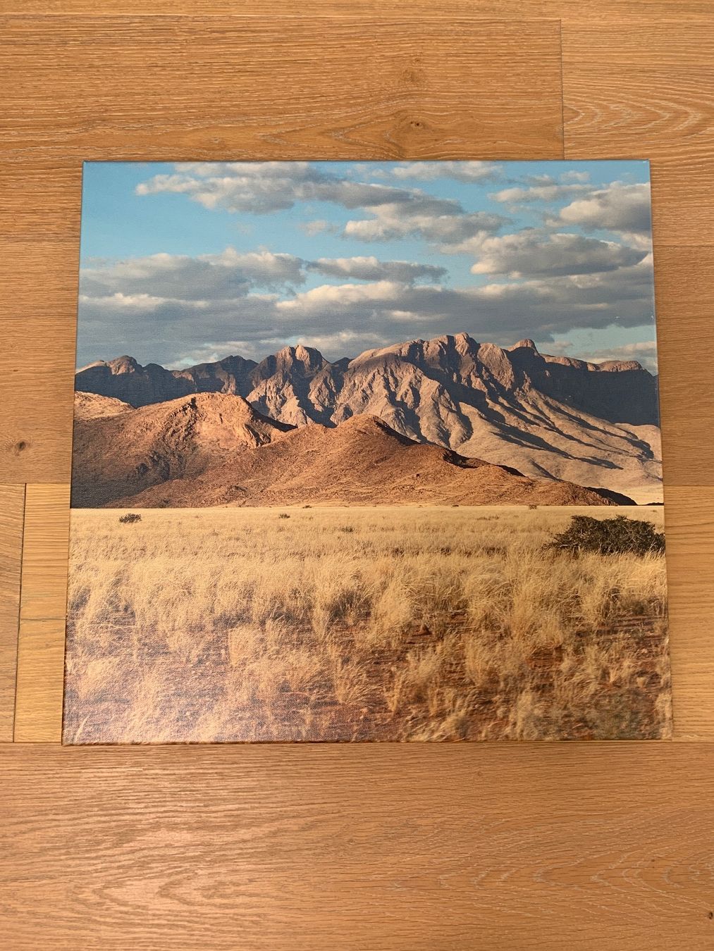 Foto & Immagini: Landschaftsfoto Namibia, 60 x 60 cm – Usato da Lauerz venduto da MUR36