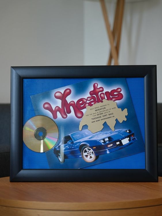 Wheatus Teenage Dirt Bag Gold Kaufen auf Ricardo