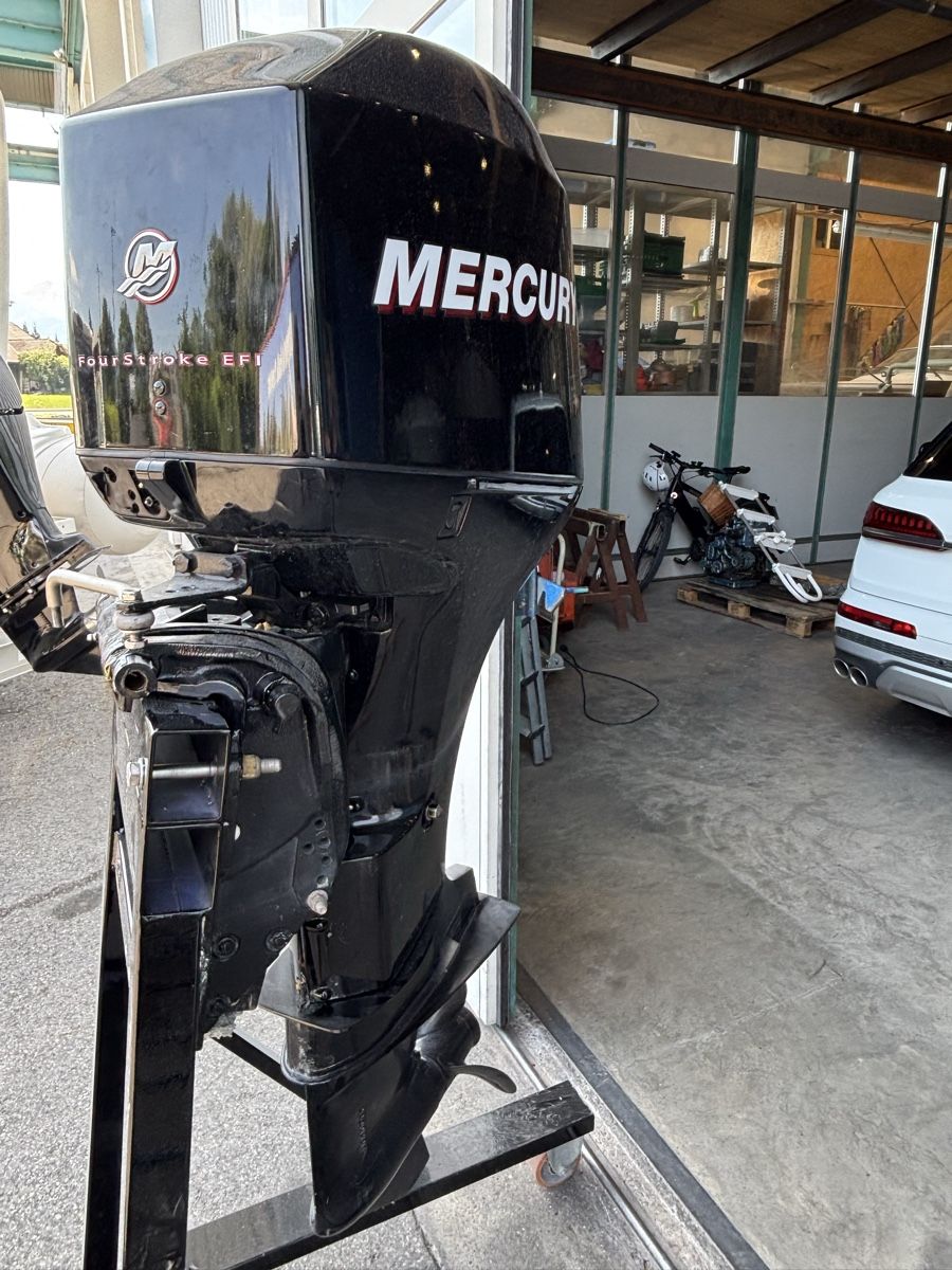 Mercury Motori: Aussenbordmotor Mercury 60 ps ab 1.- – Usato da Lengnau BE venduto da riz007 2