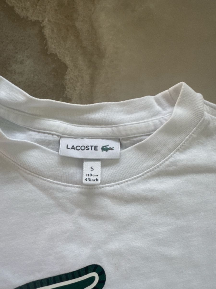 Lacoste Camicie, T-shirt & Polo: Tshirt Lacoste – Usato da Eglisau venduto da nil_wls5 1