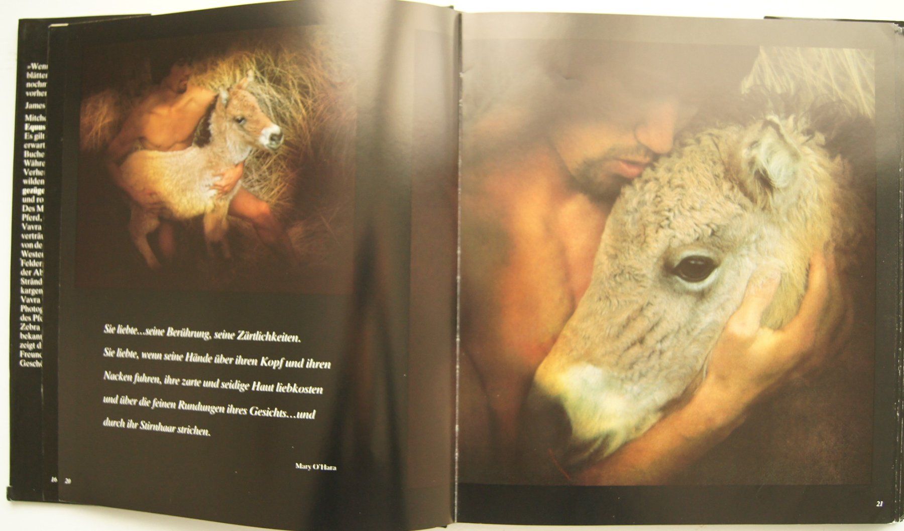Livres: Buch: Equus gezügelt – D'occasion à Fribourg par erw_68dx 4