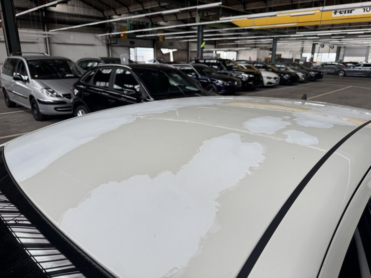 Fiat Automobili: Fiat Punto 1.4 mit MFK – Usato da Zürich venduto da edi_2mph 7