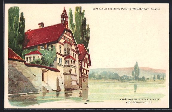 Cartes postales: AK Stein / Rhein, Le Chateau – D'occasion à Berlin par bartko-reher
